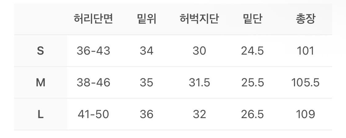 이그노타 코어5 카고팬츠(L) 판매합니다 상품이미지4