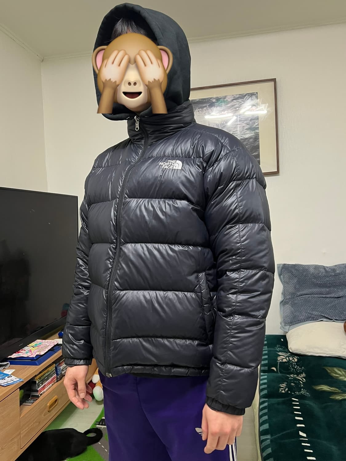 노스페이스 700 구스다운 경량패딩 XL (105) 상품이미지10