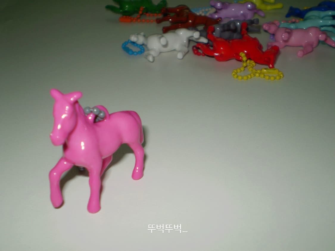 말 군번줄 키링 데려가세요~.* 상품이미지3
