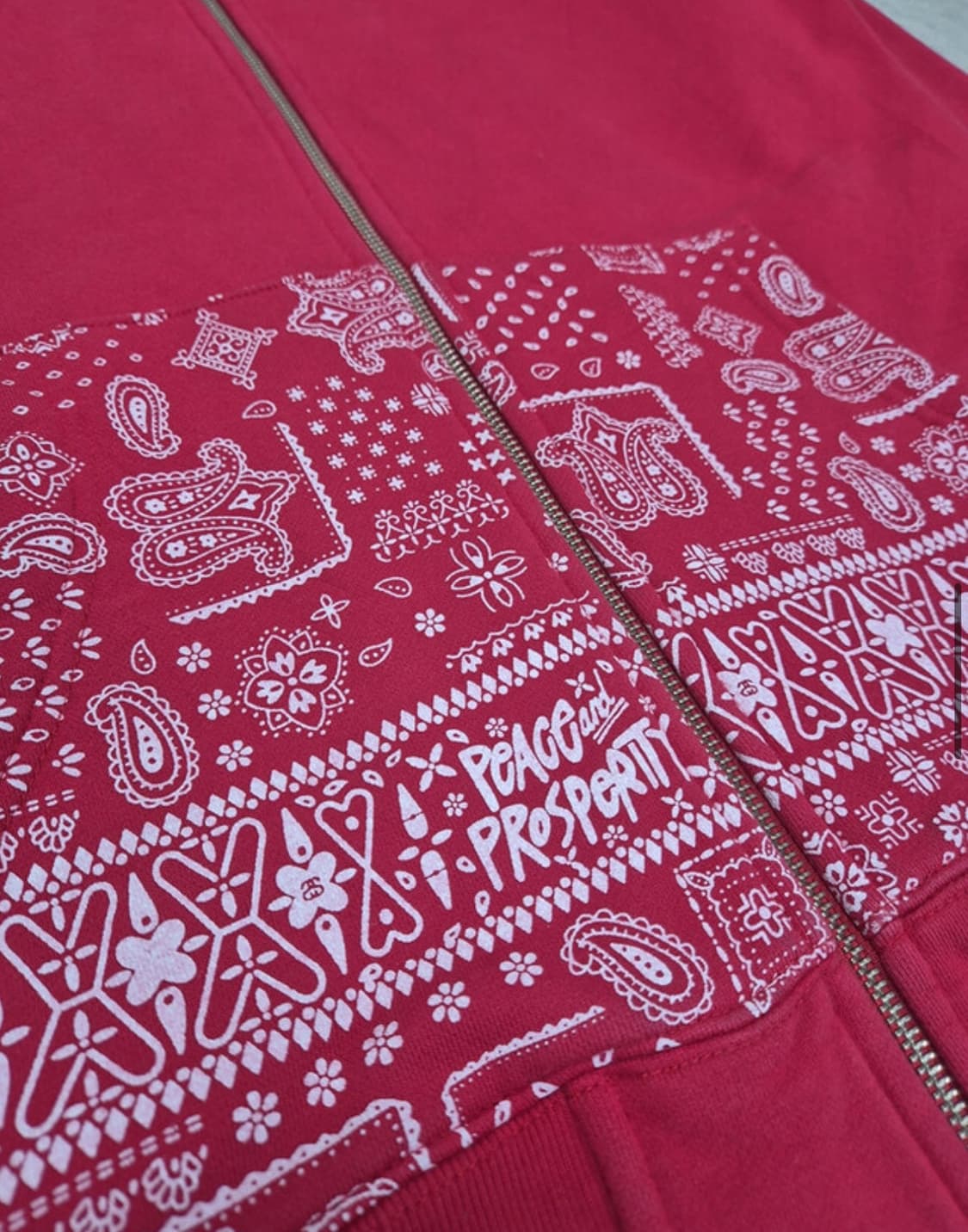 스투시 페이즐리 패턴 후드 상품이미지5