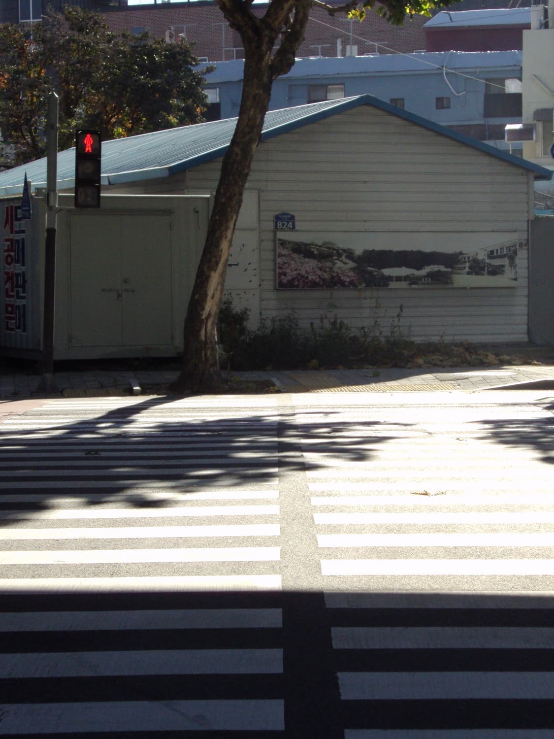 작례 미침 소니 dsc-s950 디카 상품이미지8