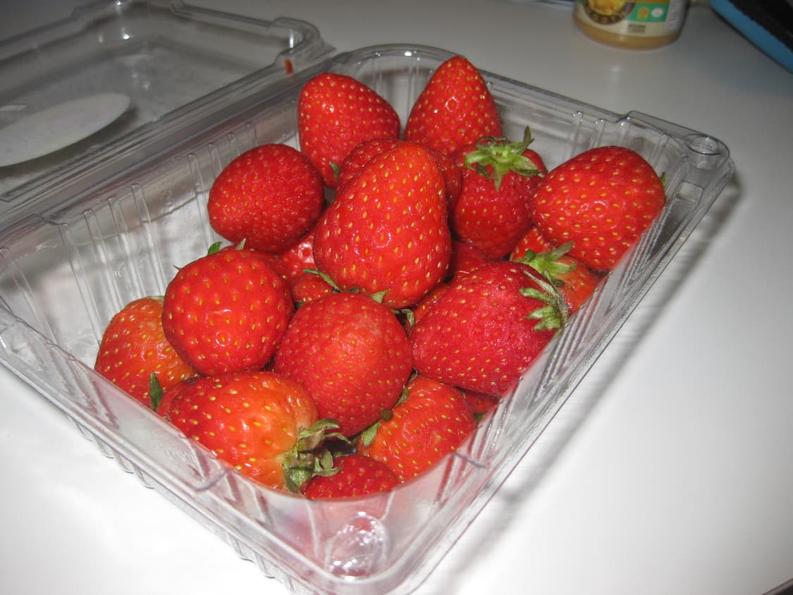 뽀용🤍🤍 캐논 ixus90 ixy95 SD790 상품이미지4