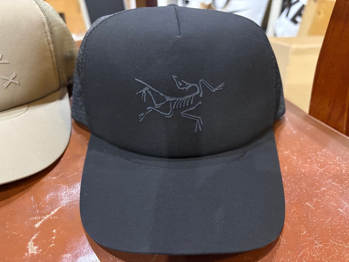 아크테릭스 모자 상품이미지4