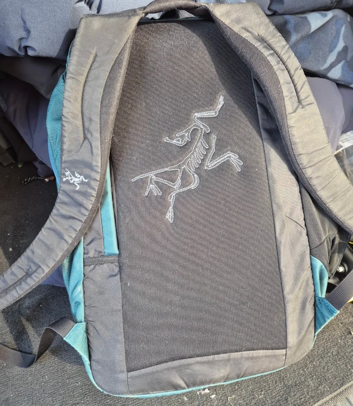 아크테릭스 백팩 상품이미지2