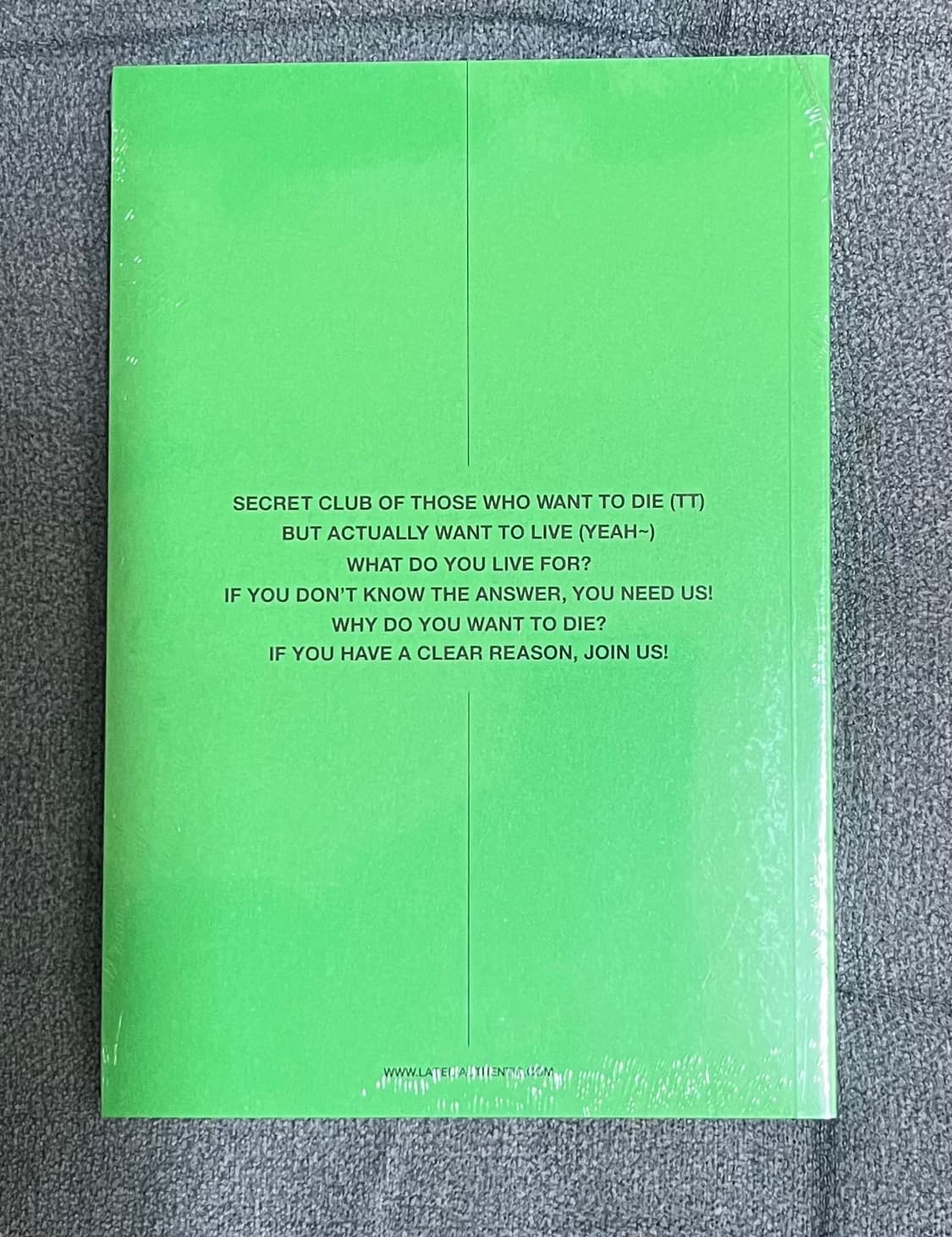 [미개봉 새상품] 한로로 콘서트 공식 MD 반다나 키링 다이어리 후드 상품이미지7