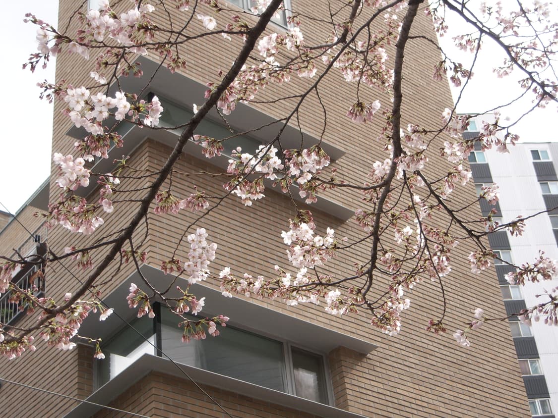 코닥 이지쉐어 kodak easyshare V1003 🔆작례 상품이미지4