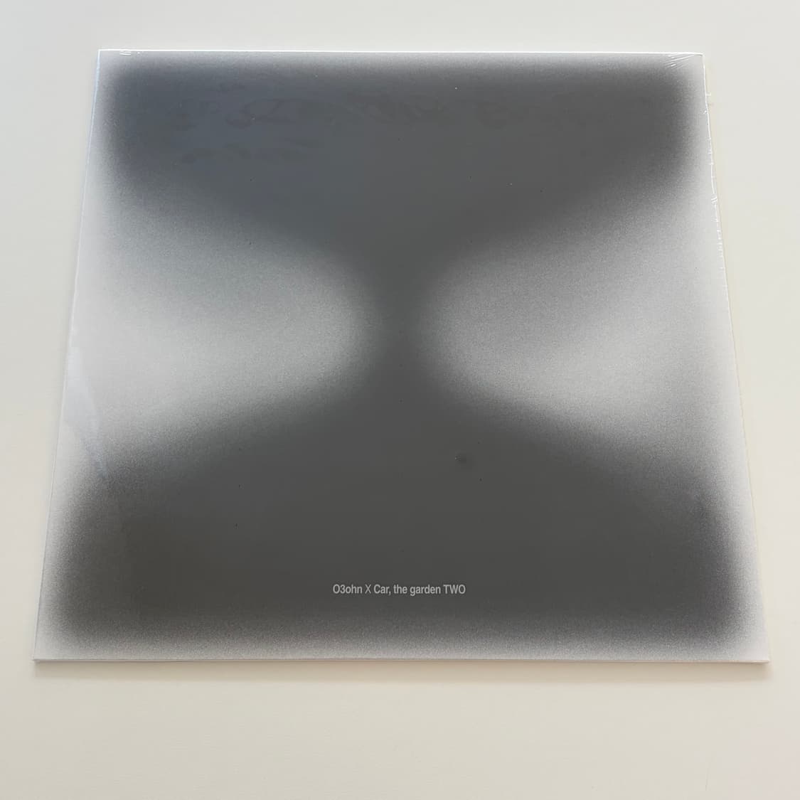 오존 X 카더가든 - TWO [쿨 그레이 컬러 LP] 상품이미지1