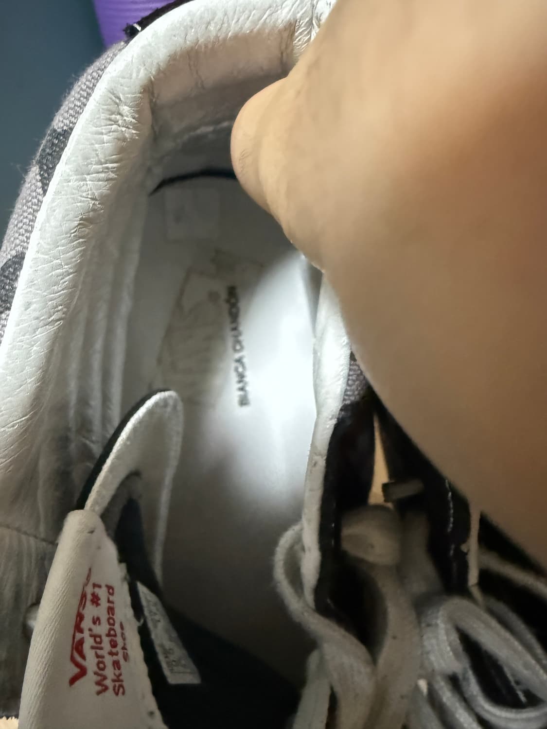 반스 X 비앙카샹동 스케이트 하이 275 상품이미지7