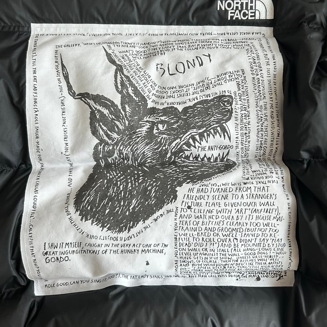 슈프림 노스페이스 개눕시 M size 상품이미지6