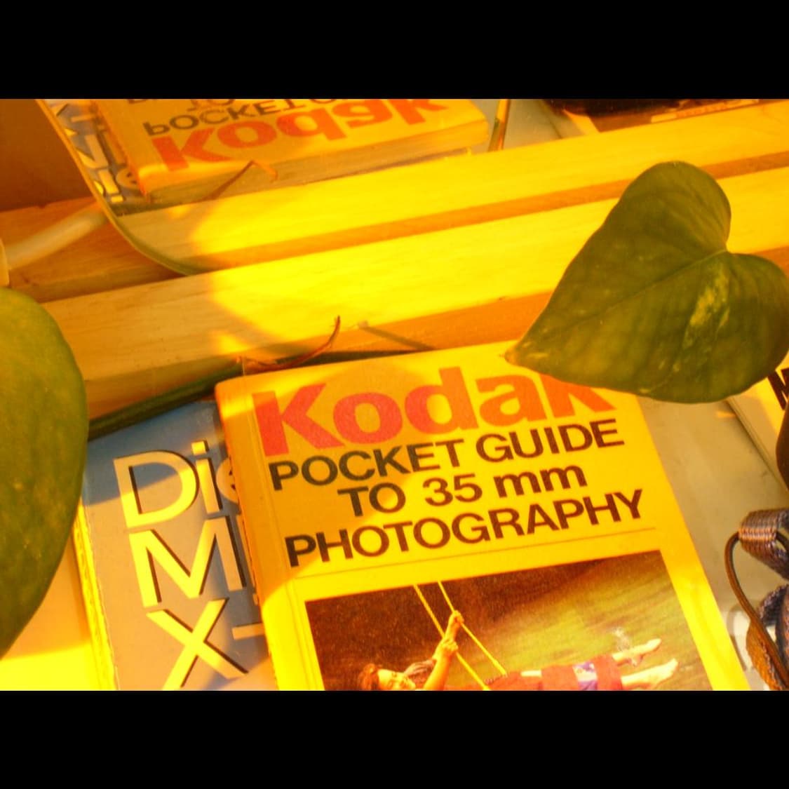 파나소닉 루믹스 FX5 실버 메탈릭✨빈티지 디카 디지털카메라 상품이미지3