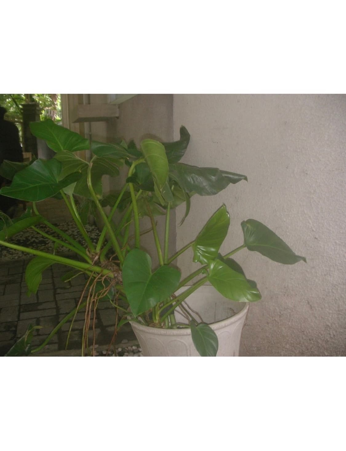 산요 작티 vpc c5 디지털캠코더 상품이미지10