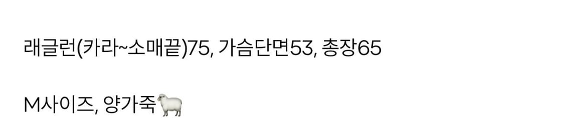 레더자켓 블랙 상품이미지4