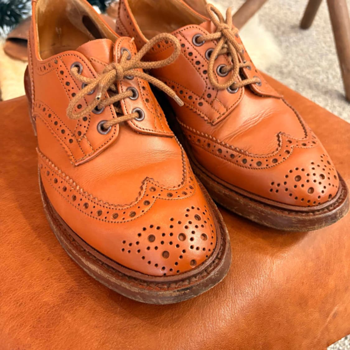 Tricker’s 트리커즈 bourton 부통 윙팁 상품이미지3
