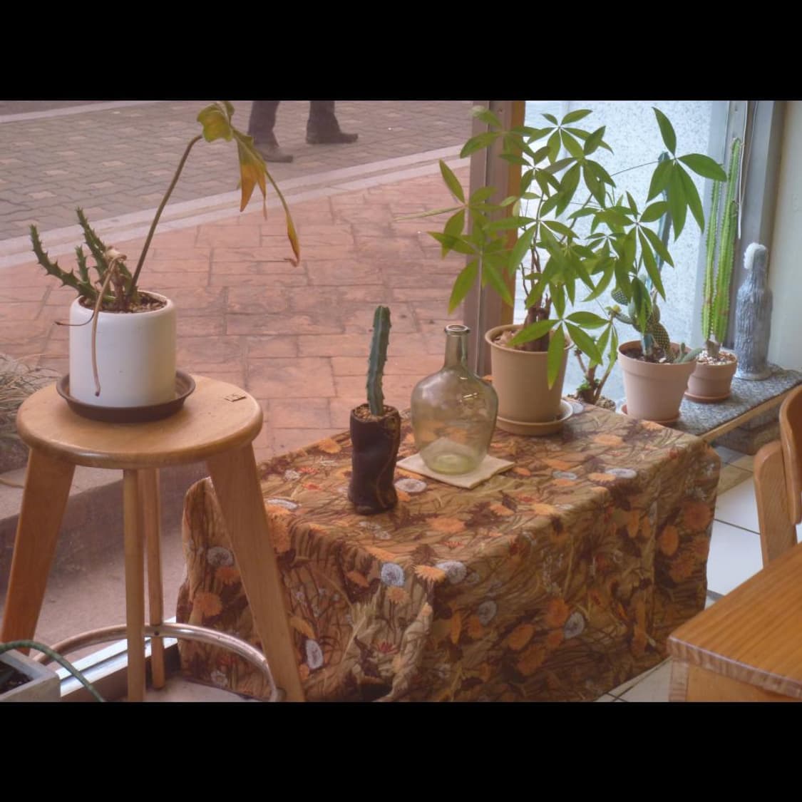 작례⭕️ 파나소닉 루믹스 DMC-FP1 상품이미지3