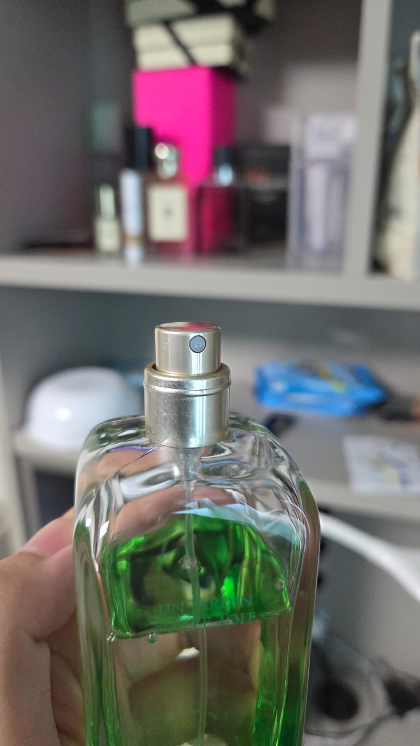 에르메스 운 자르뎅 수르뜨와 상품이미지3