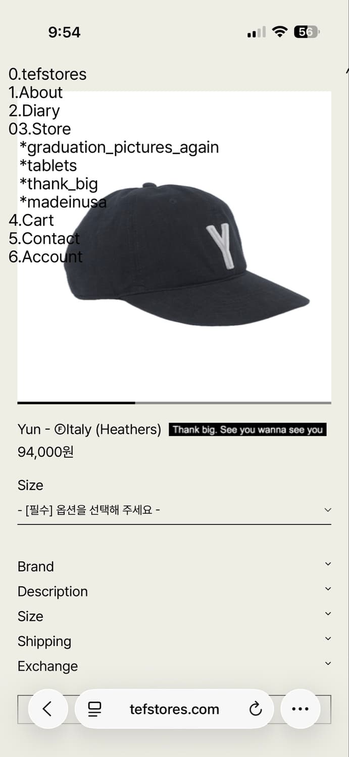 테프스토어 테프스토어즈 Yun 볼캡 캡 모자 M 사이즈 상품이미지2