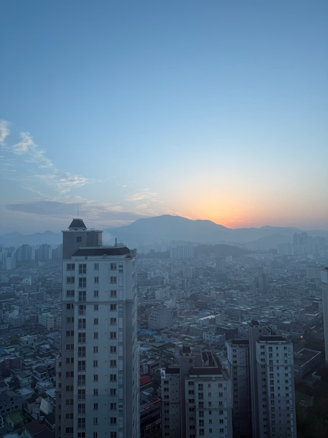 파타고니아 우먼 트레킹 쇼츠 정품 상품이미지4