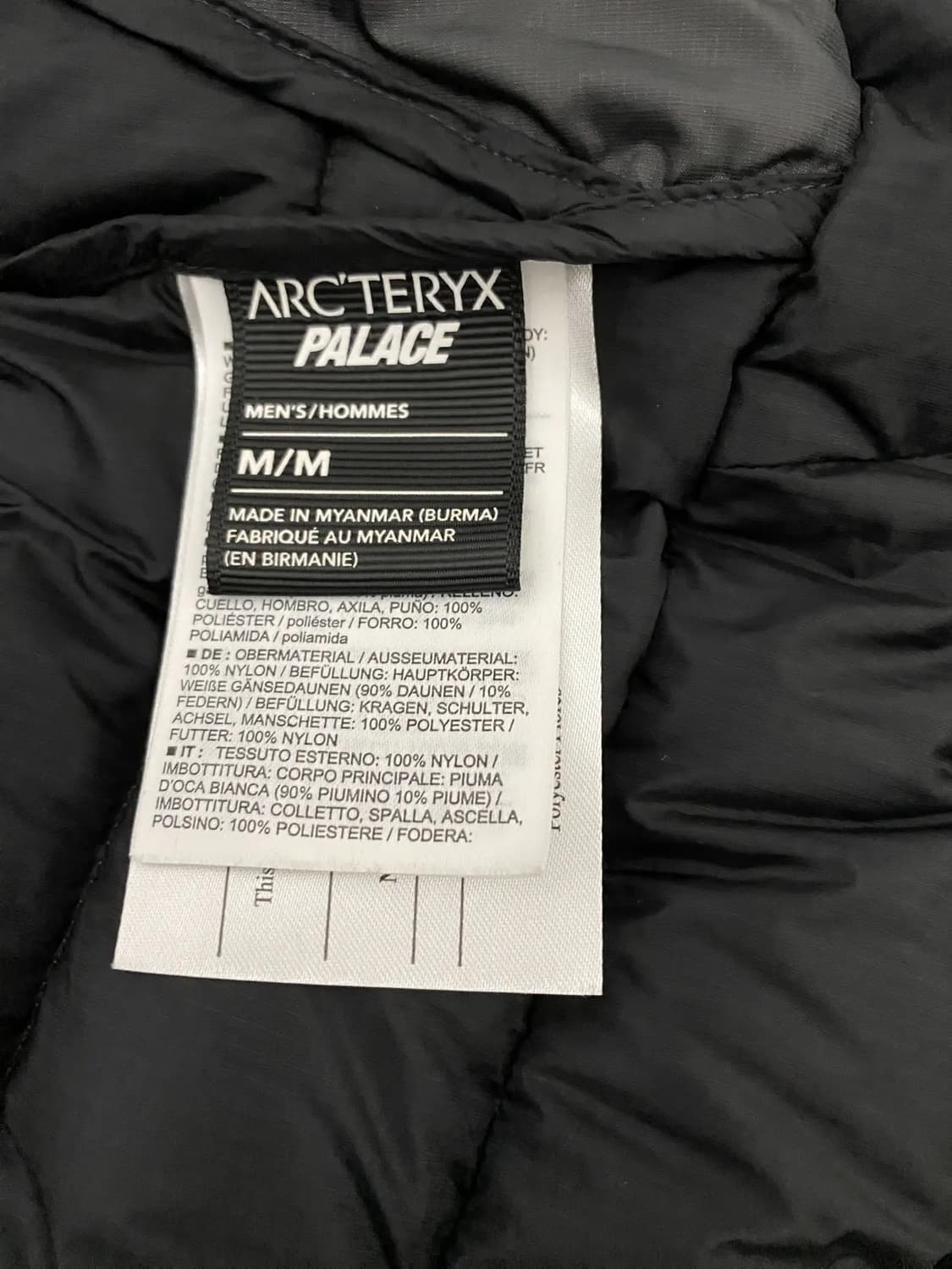 M 아크테릭스 x 팔라스 세륨 LT 후디 패딩 자켓 상품이미지6