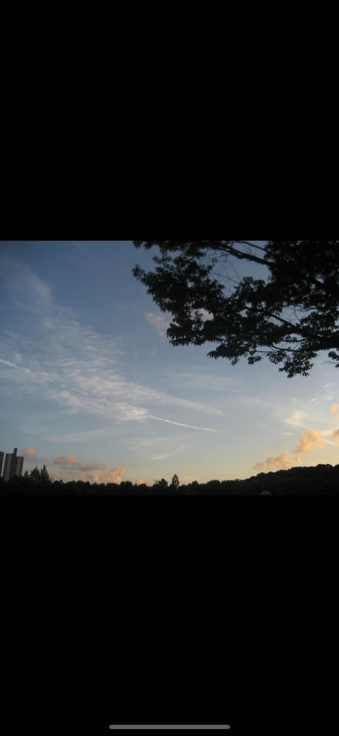 Canon 캐논 익서스60디카 상품이미지9