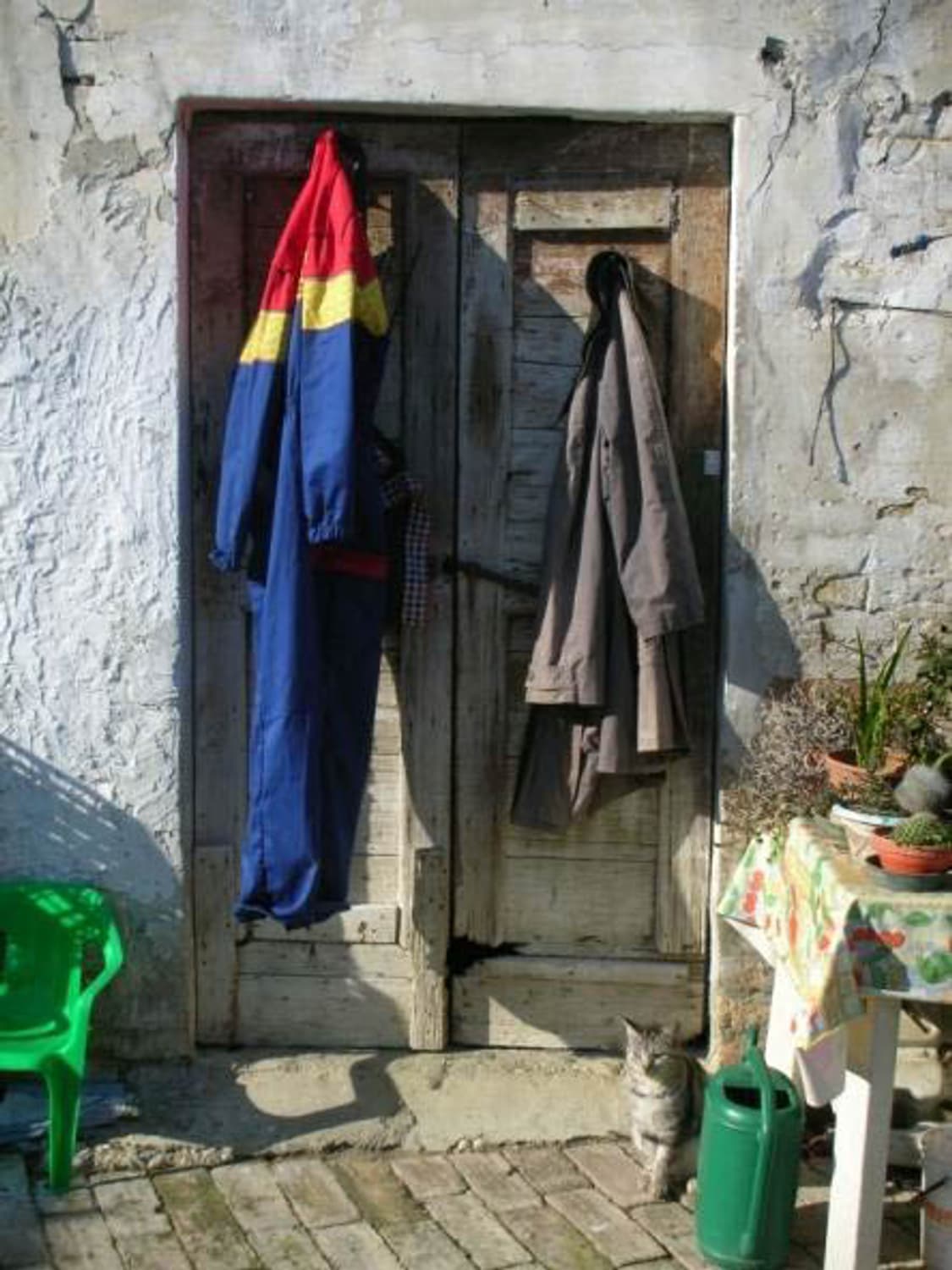 Canon IXUS 50 (캐논 익서스 50) 상품이미지10