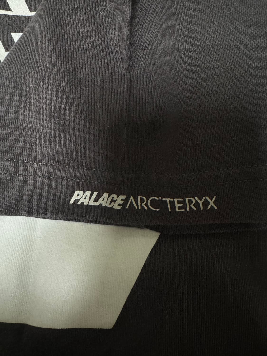 Palace x Arcteryx 팔라스 아크테릭스 티셔츠 상품이미지3