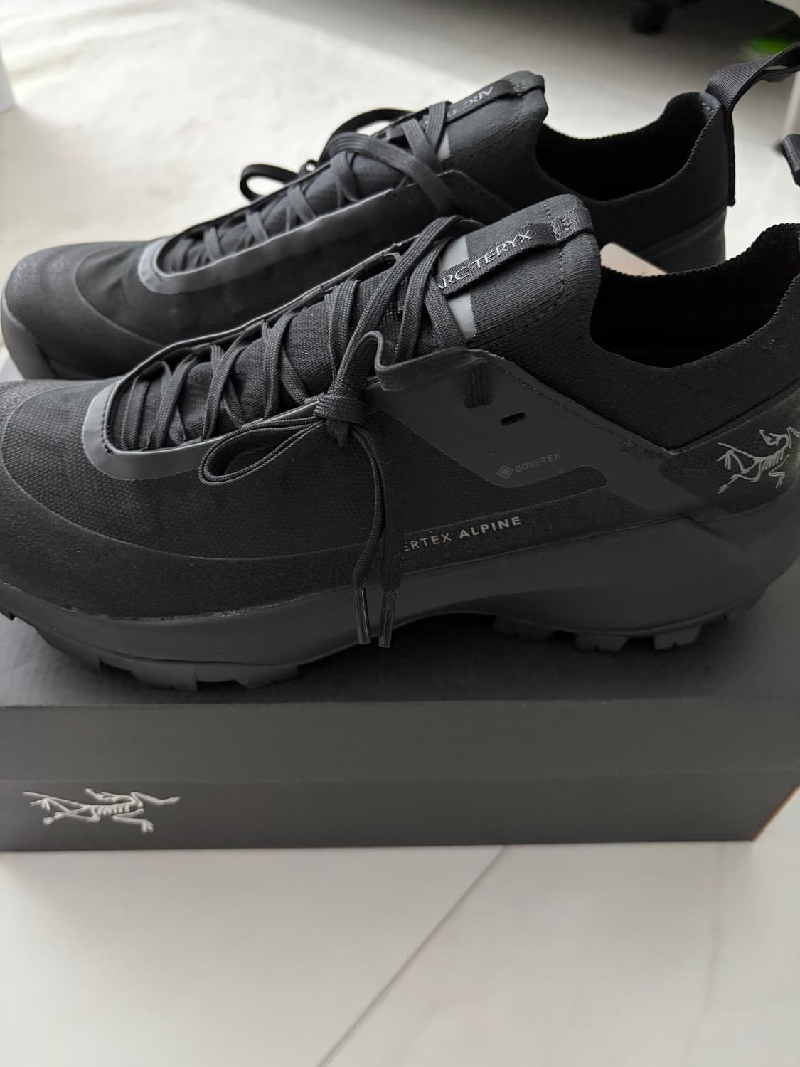 아크테릭스 버텍스 알파인 gtx  상품이미지2