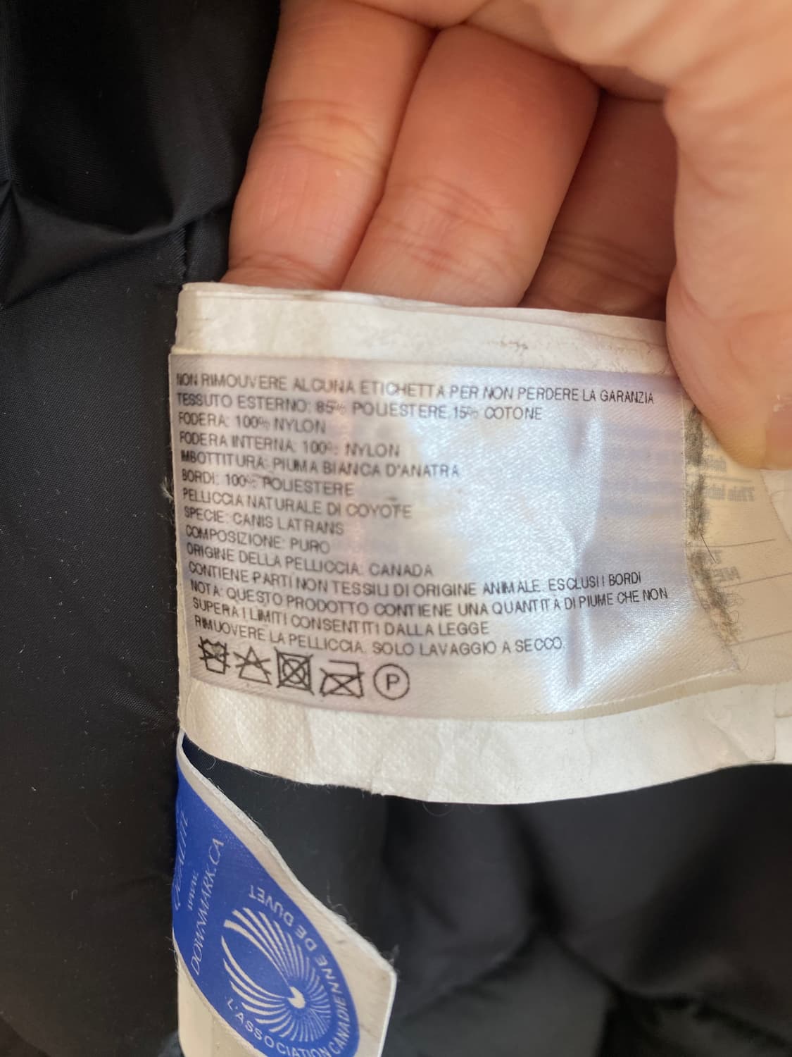 CANADA GOOSE EXPEDITION 네이비 파카(S) 상품이미지9