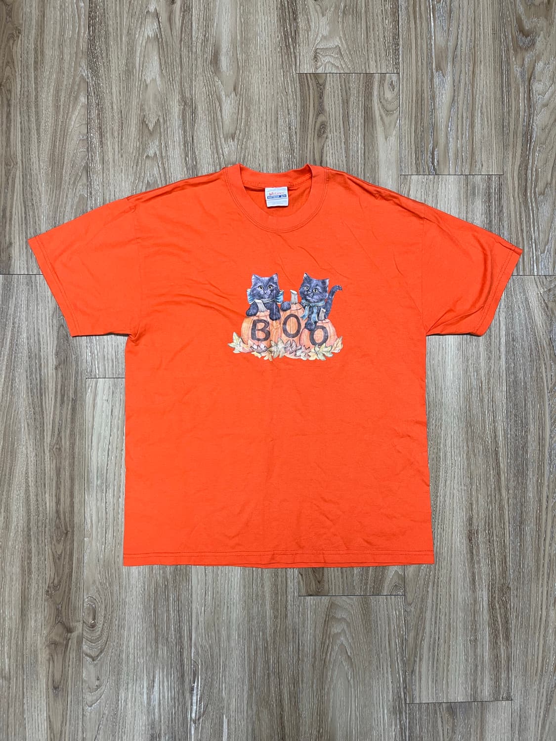 Hanes 빈티지 반팔 티셔츠 L 상품이미지1