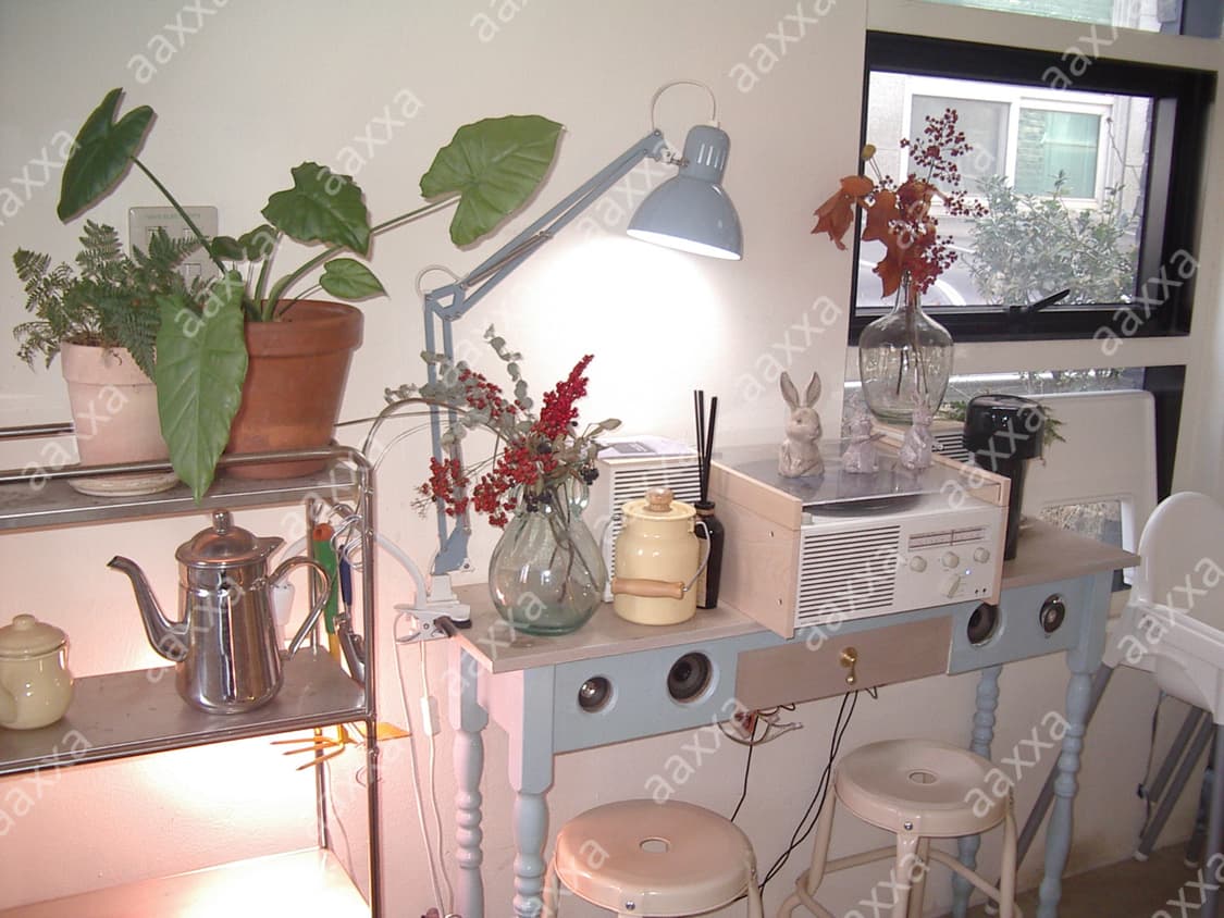 [풀박, 작례⭕️] 펜탁스 옵티오 33l pentax optio 상품이미지6