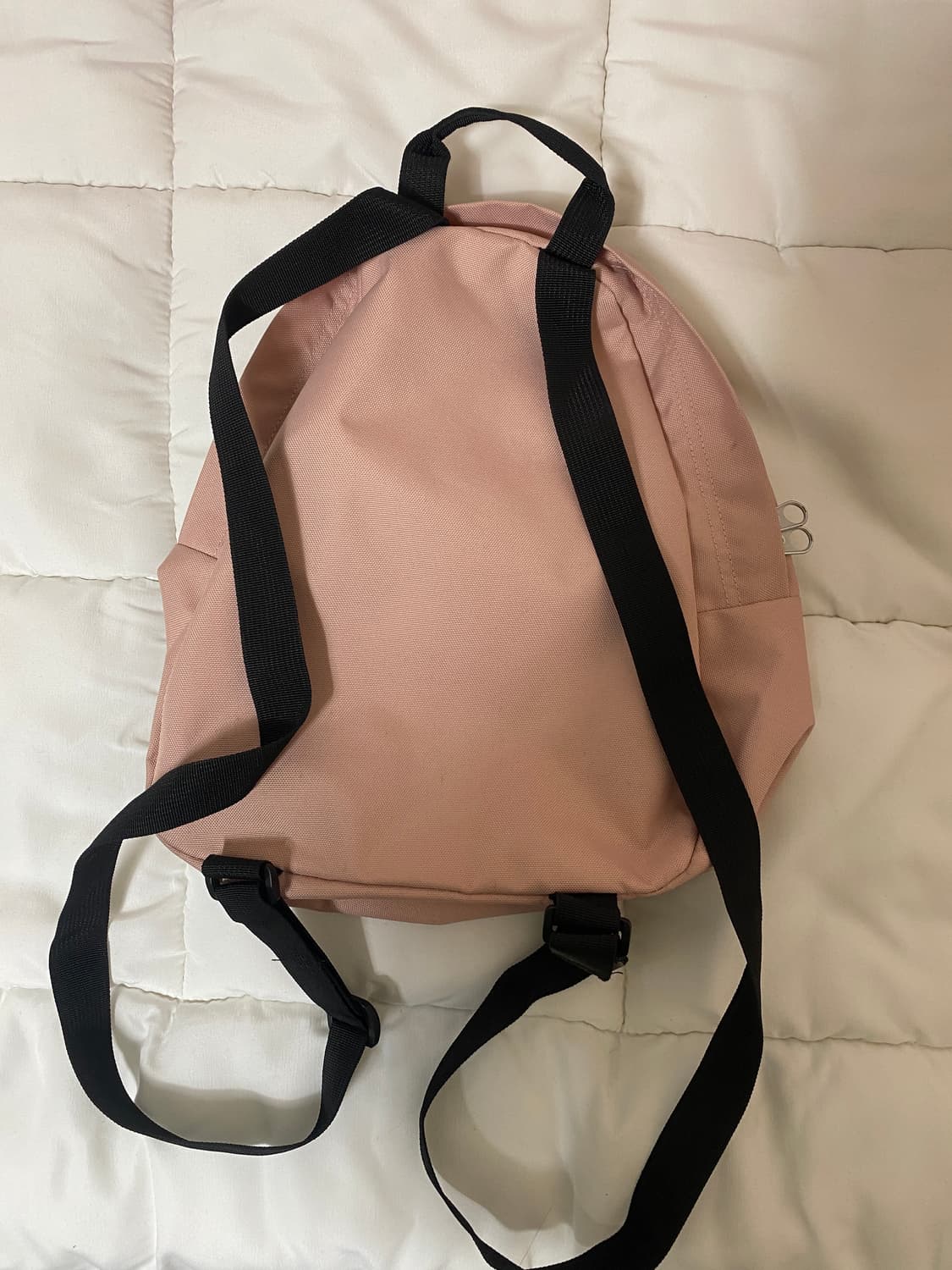 잔스포츠 하프 파인트 미스티 로즈 상품이미지2