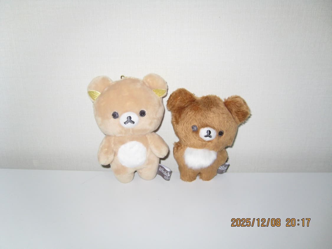 캐논 익서스 70 (익시 10) Canon IXUS 70 (IXY 10) 상품이미지5