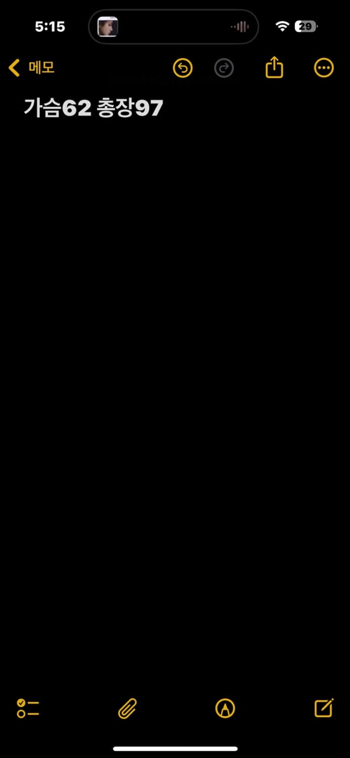 나이키 돕바 롱패딩 상품이미지5