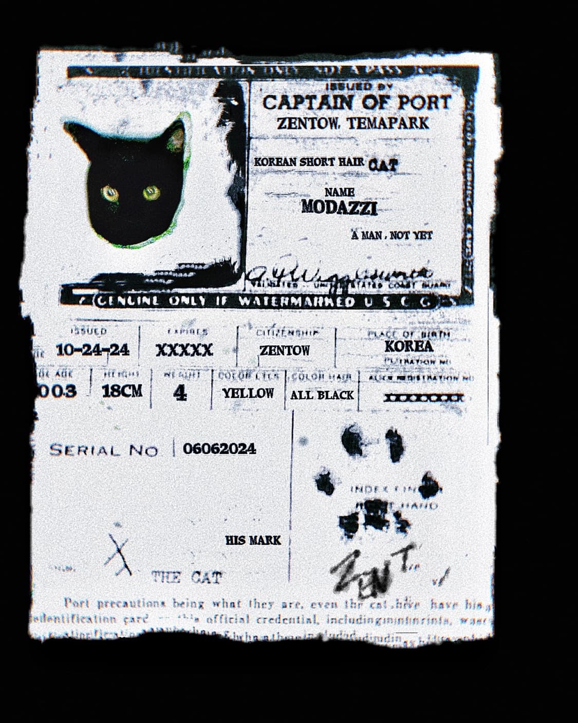 ZentoW 🐈‍⬛🐈 상품이미지1