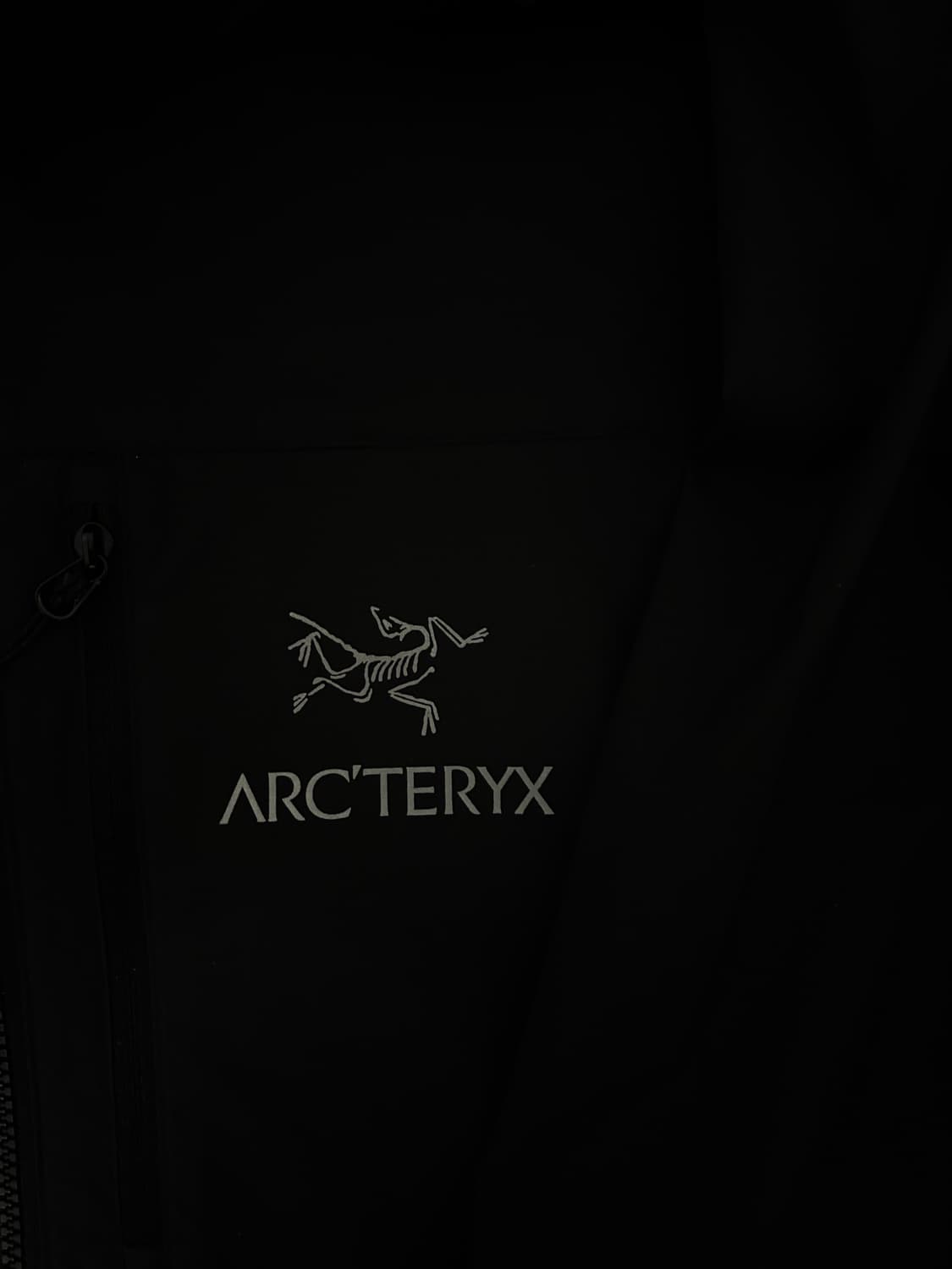 아크테릭스 스쿼미시 블랙 사파이어 상품이미지2