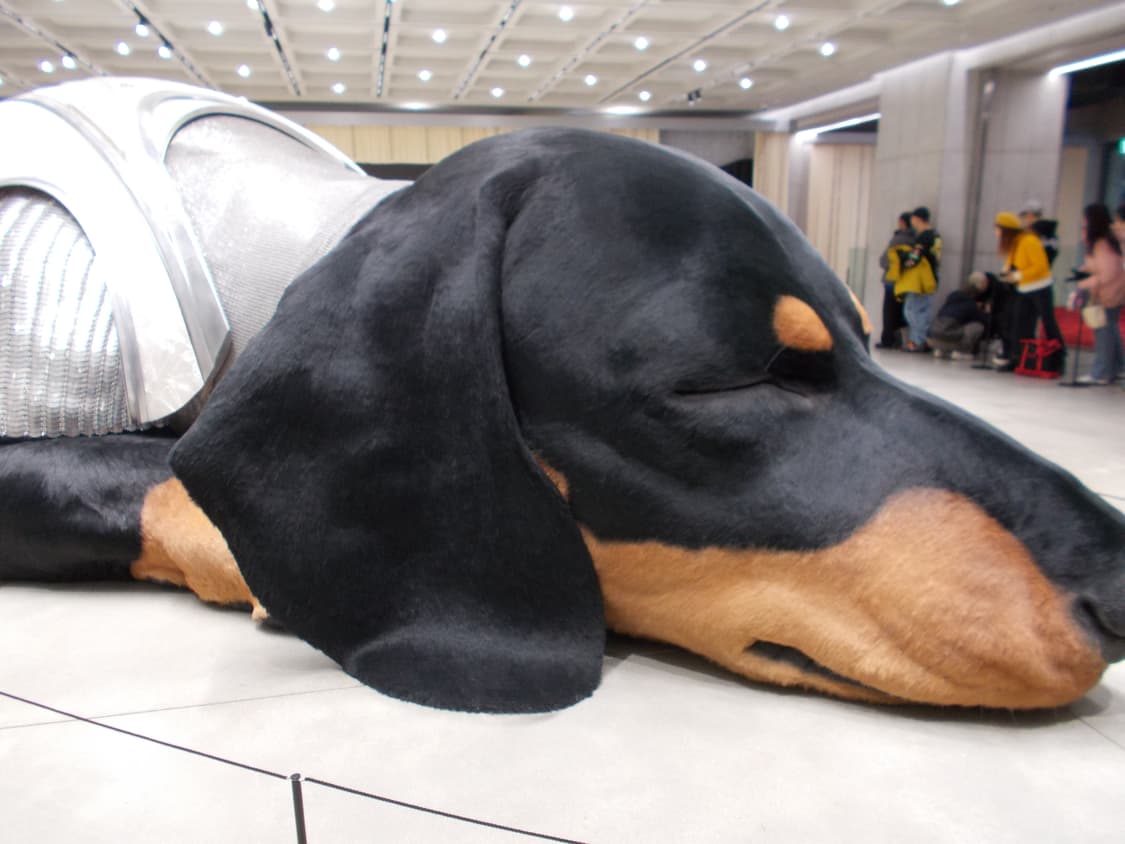 Nikon Coolpix L31 디카 상품이미지2