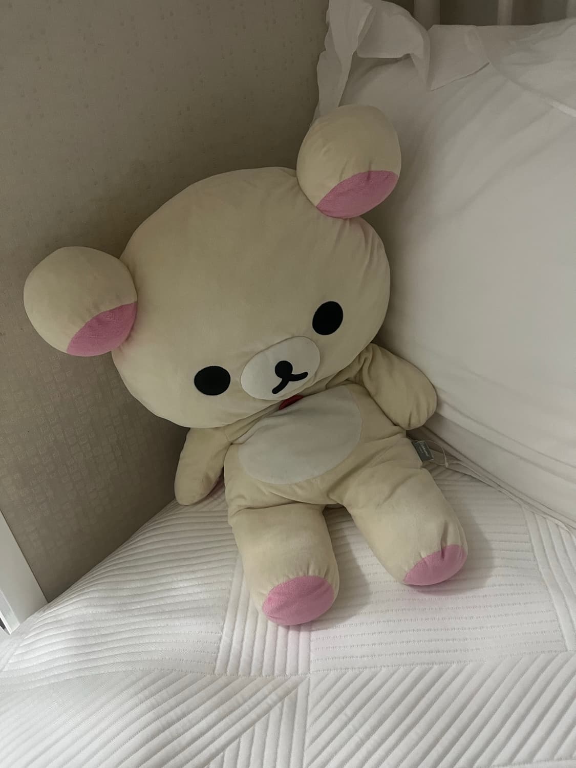 코리락쿠마 인형 상품이미지1