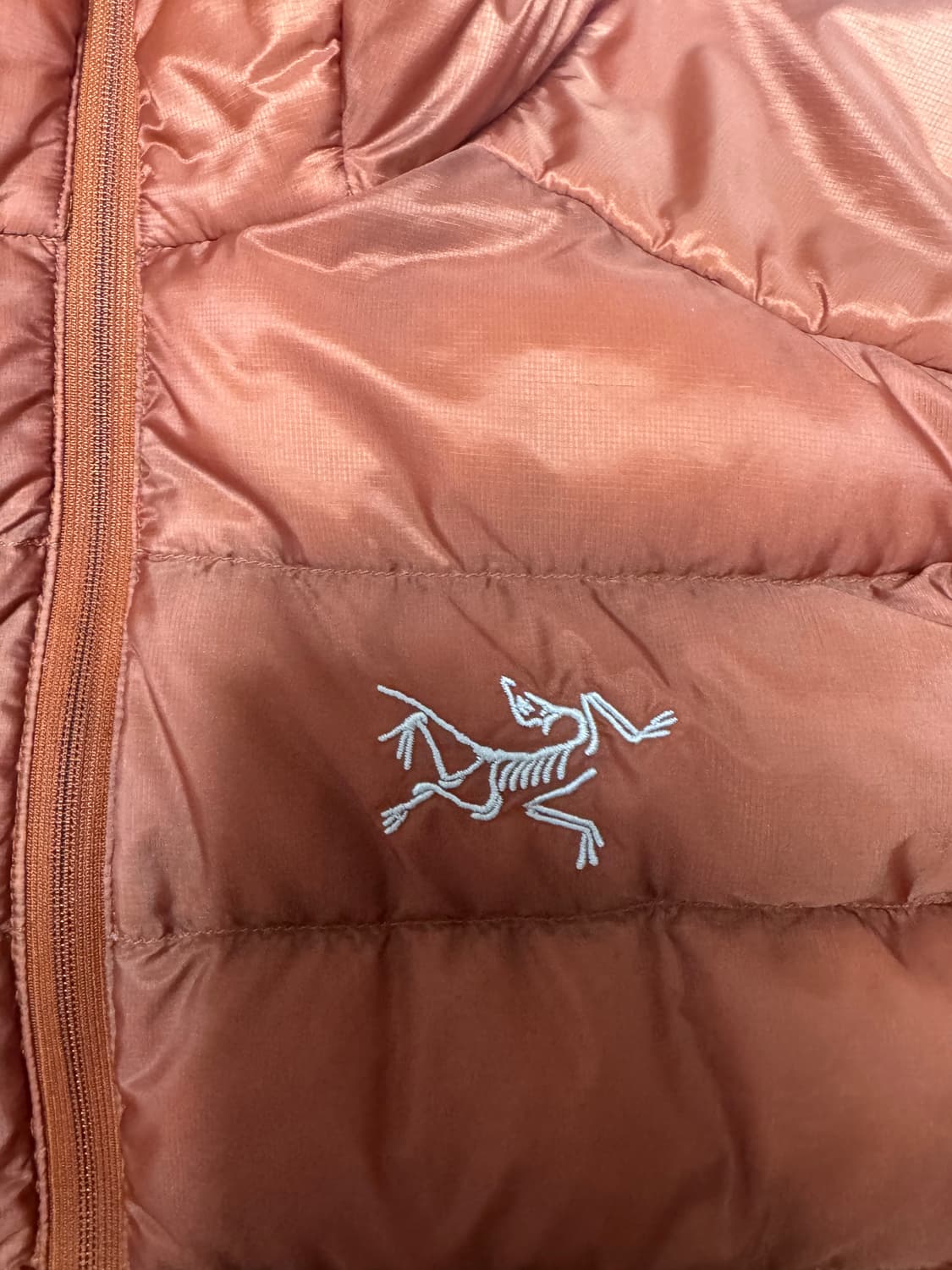 L 아크테릭스 세륨 LT 코모레비 / 후디 상품이미지2