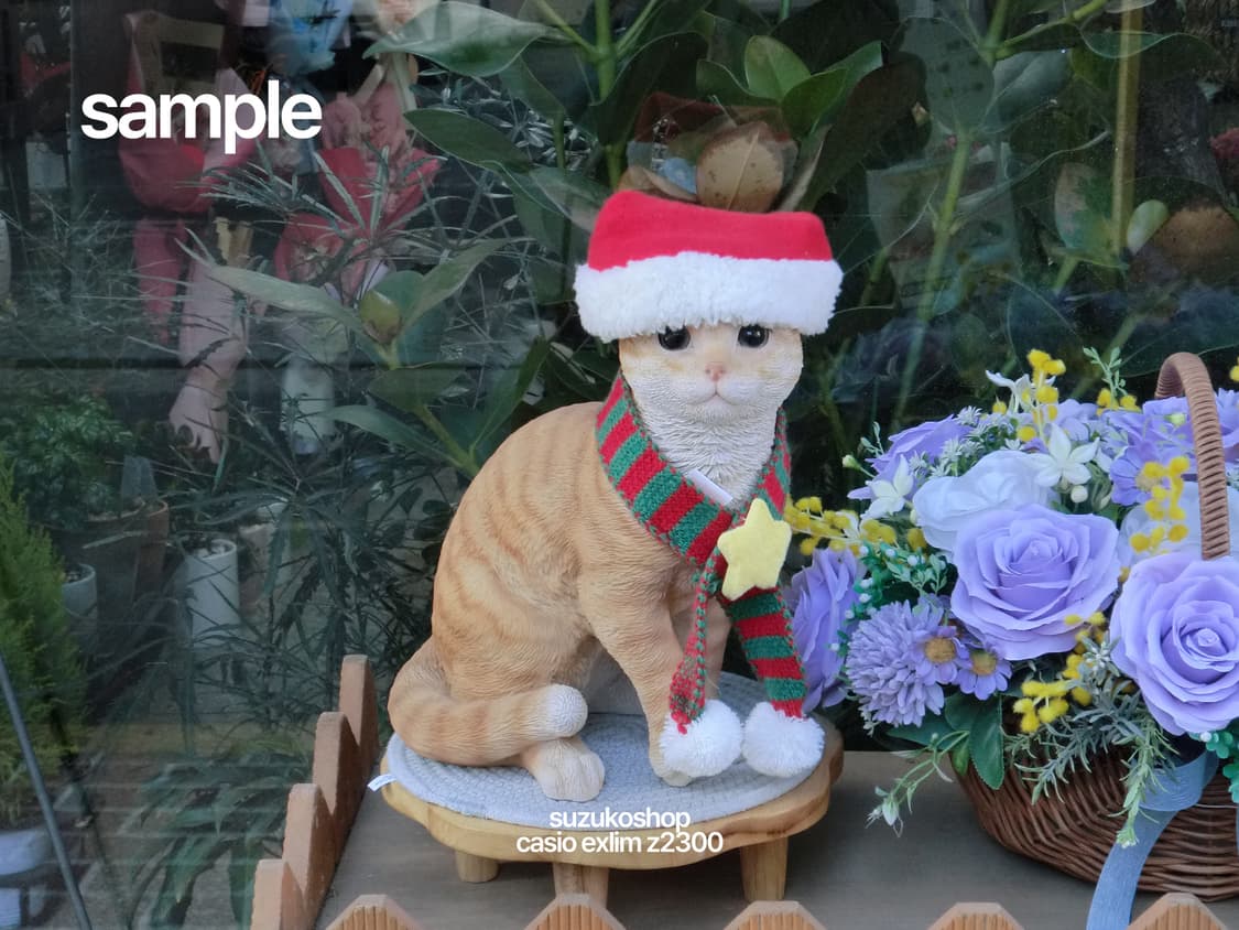 카시오 엑슬림 z2300 ♡ 로제, 나연, 미연, 모카 디카 상품이미지10