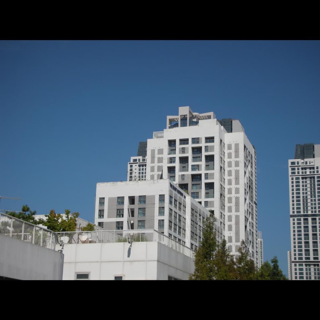 작례⭕️ 니콘 쿨픽스 S8 펄 화이트 👻노제 카메라 상품이미지5