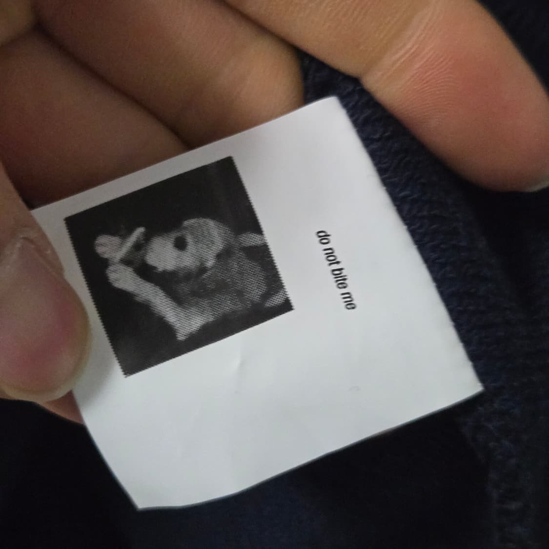 롤리러브롤리 코튼 맨투맨/여성 맨투맨/여자 맨투맨  상품이미지4