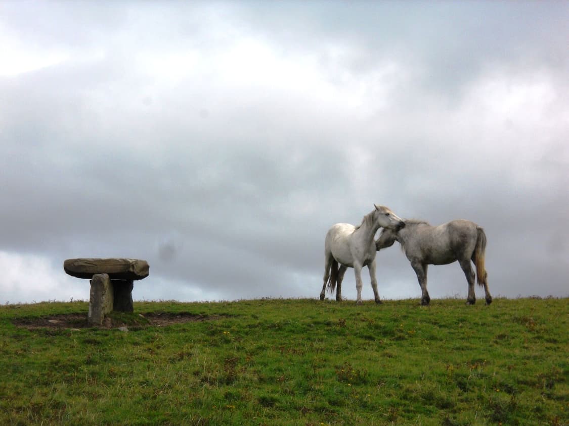 (메탈릭 핑크🎀) 니콘 Nikon COOLPIX S570 상품이미지10