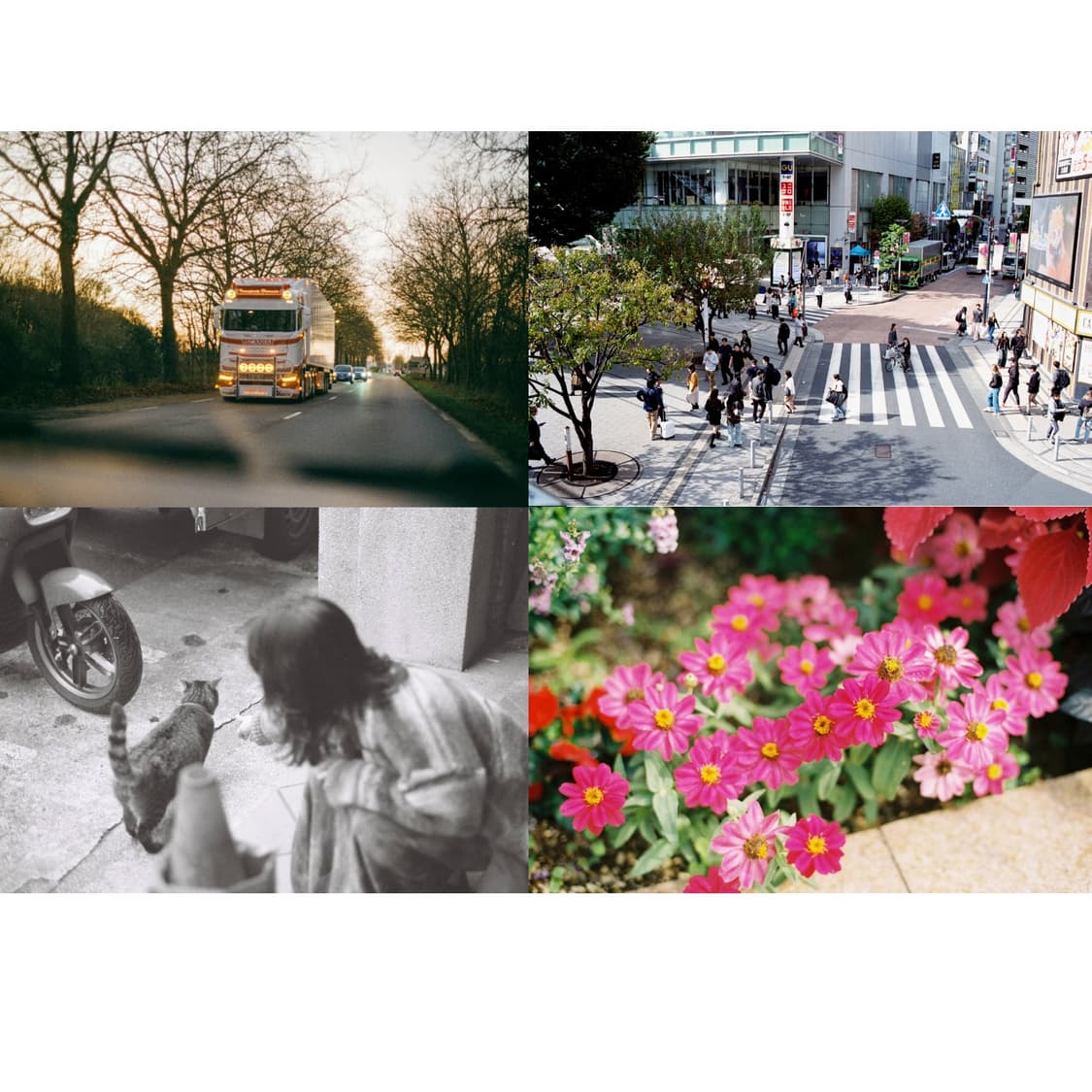 캐논 f-1n 50 mm1.4 (소장용/전체분해오버홀/보증6개월) 상품이미지3