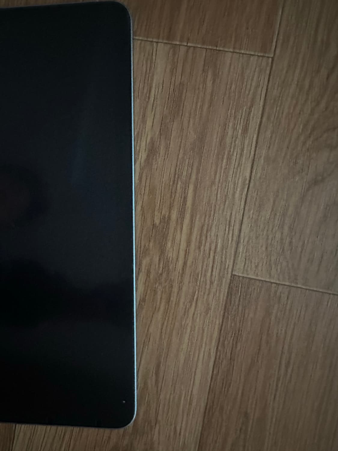 아이패드 에어4세대 스카이블루 64기가 상품이미지2