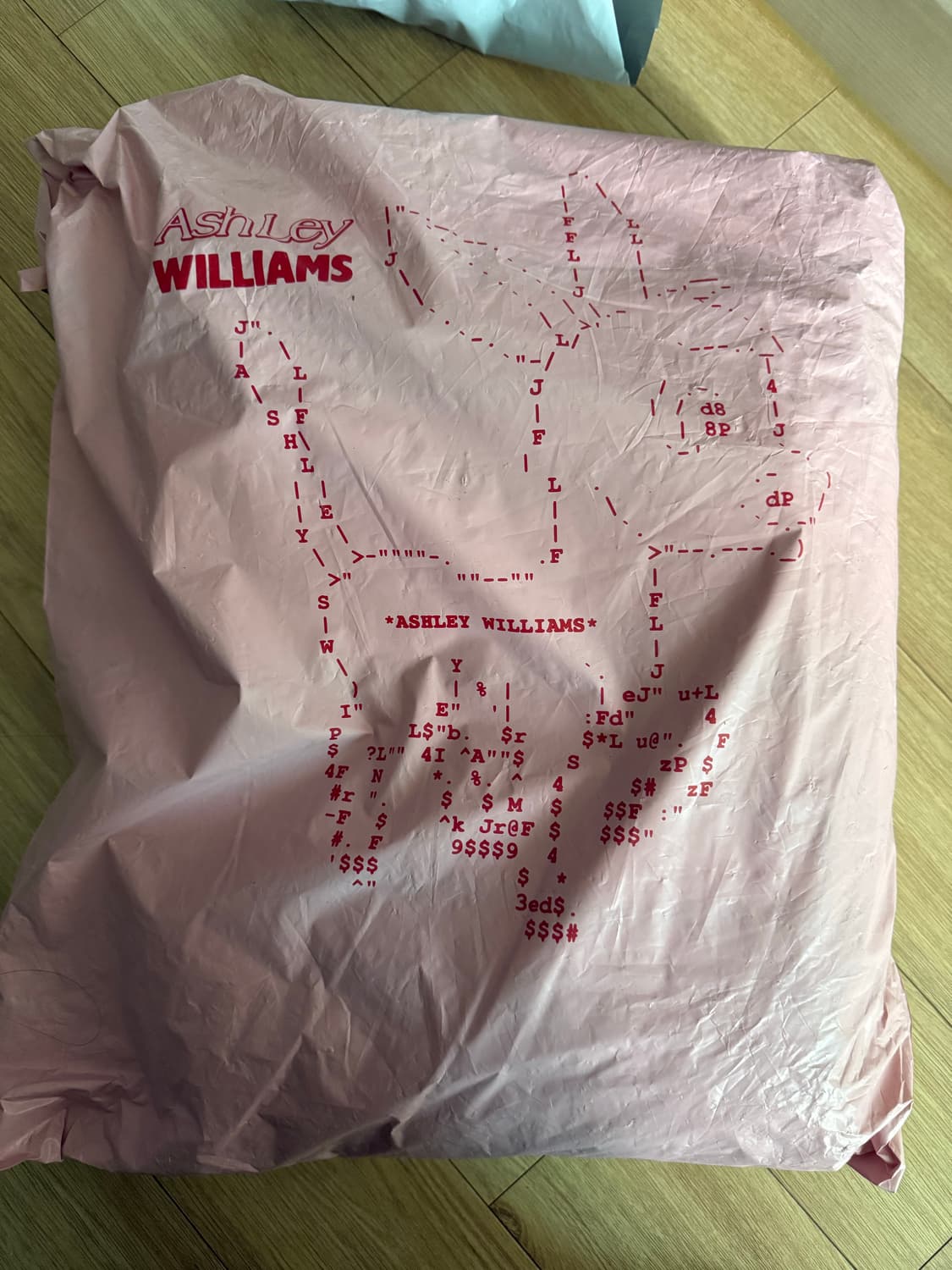 애슐리 윌리어스 PINK  HEART ME BUTTERFLY HOODIE 상품이미지2