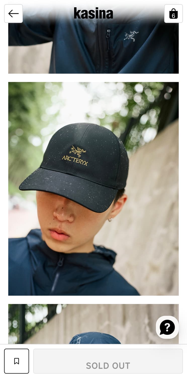 아크테릭스 버드 워드 캡 24K 블랙 상품이미지5
