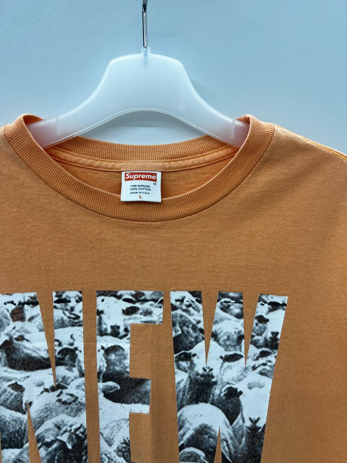 00s) New World Order 상품이미지2
