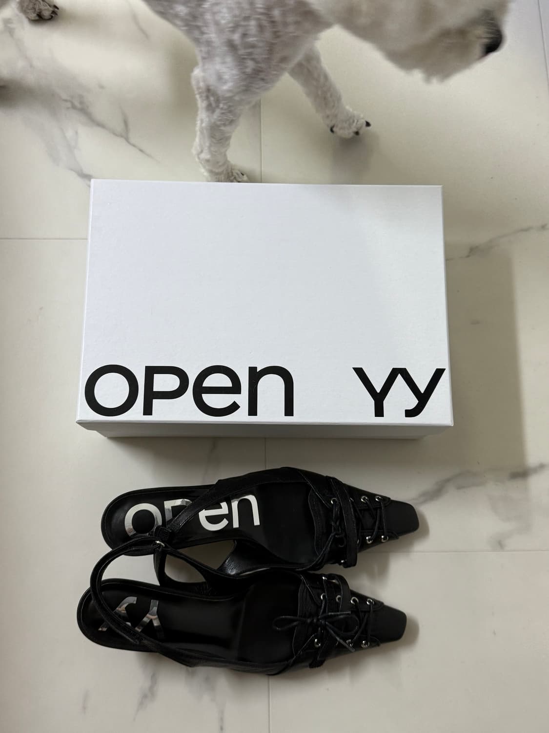 LACE-UP POINTY HEEL, BLACK 상품이미지2