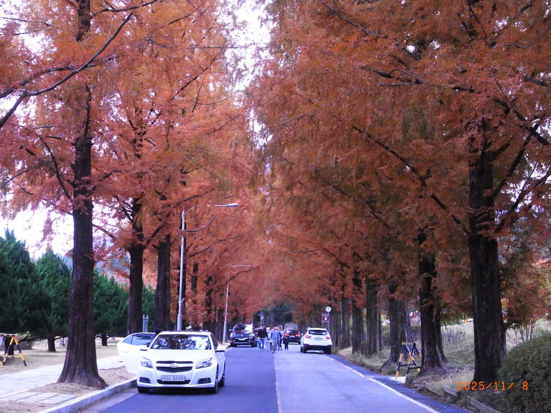 리코r10 )작례o 색감보정❌빈티지카메라 상품이미지10