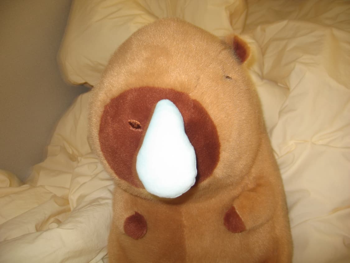 캐논 익시 700 (익서스 750) 상품이미지9