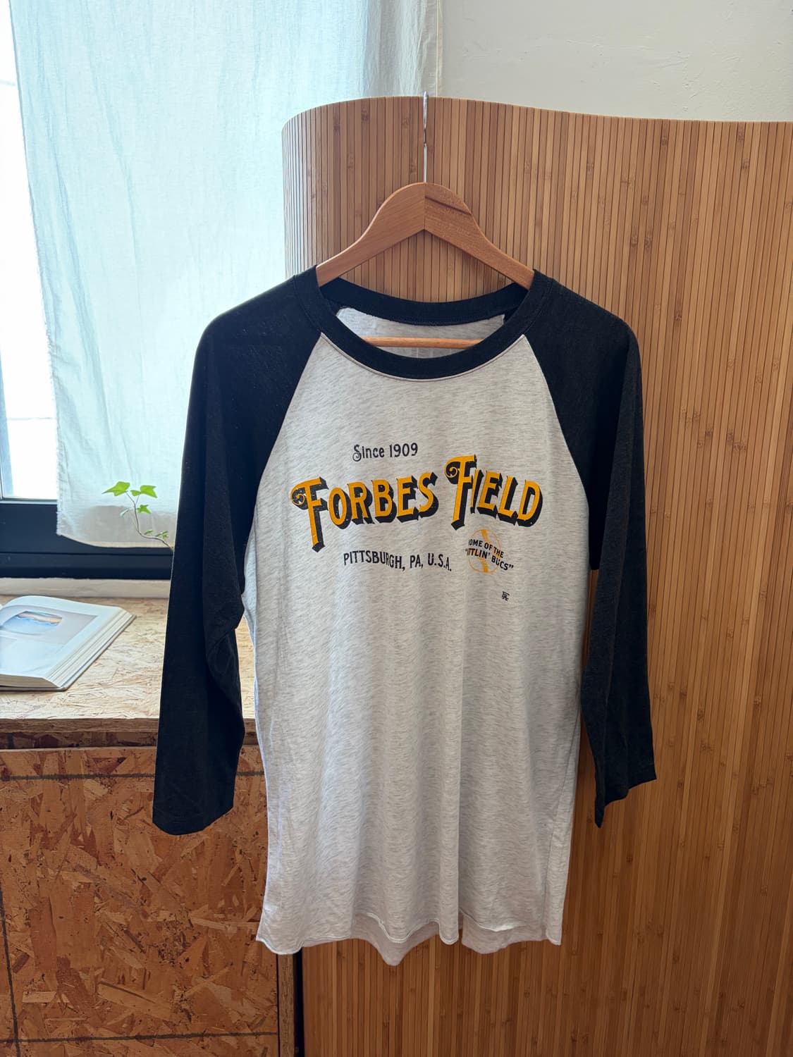 Erie Apparel Raglan T-shirt 상품이미지5